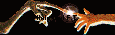 shlogoanim.gif